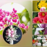 Muốn giải thể công ty trọn gói giá rẻ tại Hà Nội