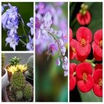 Kinh nghiệm mở cửa hàng chăn ga gối nệm thành công 7 thành lập hộ kinh doanh chăn ra gối nệm