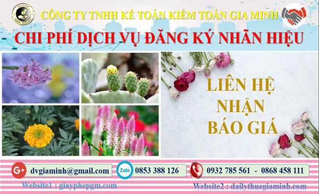 Đăng ký bảo hộ nhãn hiệu tại Điện Biên 5 Chi phí đăng ký bảo hộ nhãn hiệu Điện Biên