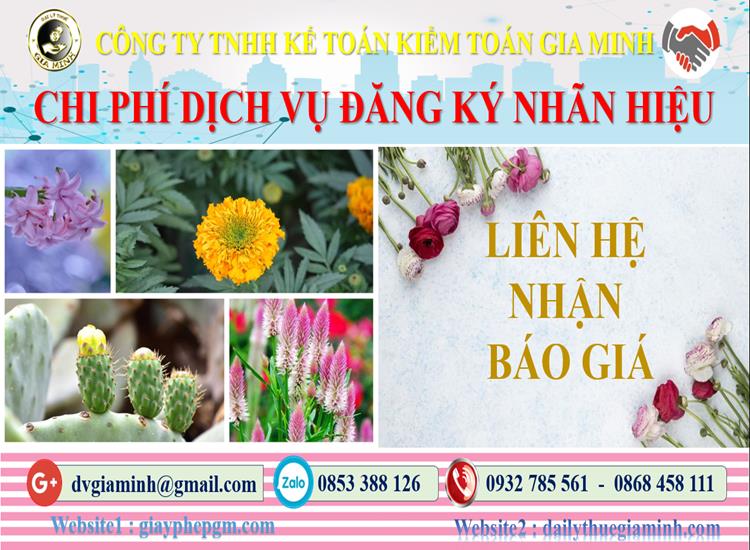 Đăng ký bảo hộ nhãn hiệu tại Hậu Giang 5 Chi phí đăng ký bảo hộ nhãn hiệu Hậu Giang