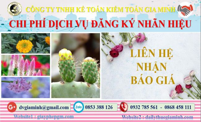 Đăng ký bảo hộ nhãn hiệu tại Lào Cai 5 Chi phí đăng ký bảo hộ nhãn hiệu Lào Cai