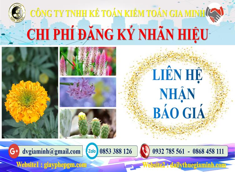 Đăng ký bảo hộ nhãn hiệu tại TPHCM 5 Chi phí đăng ký bảo hộ nhãn hiệu TPHCM