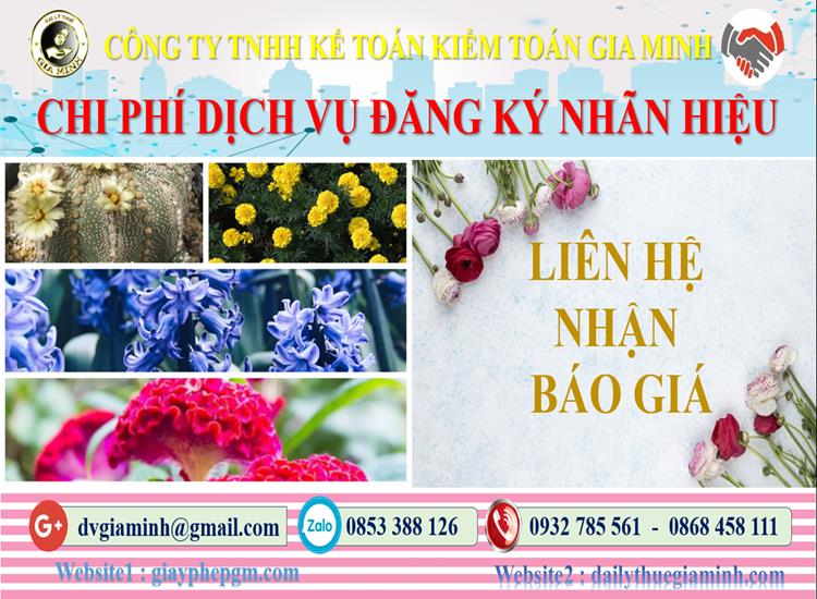Dịch vụ đăng ký bảo hộ nhãn hiệu tại Bình Định 5 Chi phí đăng ký bảo hộ nhãn hiệu tại Bình Định