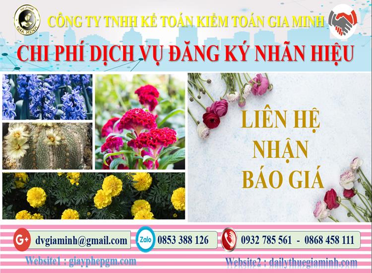Dịch vụ đăng ký bảo hộ nhãn hiệu tại Hậu Giang 5 Chi phí đăng ký bảo hộ nhãn hiệu tại Hậu Giang