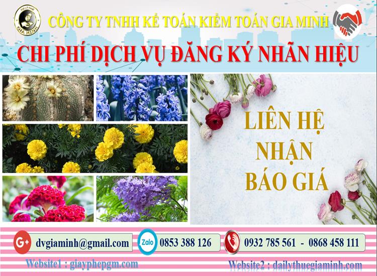 Dịch vụ đăng ký bảo hộ nhãn hiệu tại Huế 5 Chi phí đăng ký bảo hộ nhãn hiệu tại Huế