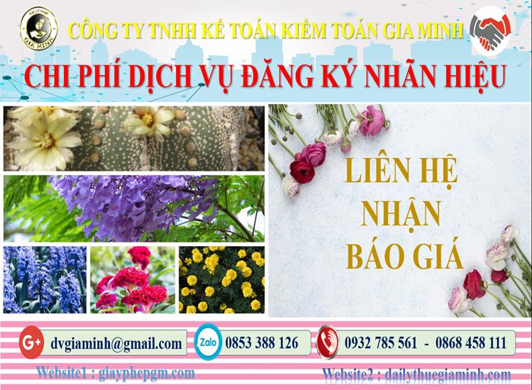 Chi phí đăng ký bảo hộ nhãn hiệu tại Thành Phố Hải Phòng