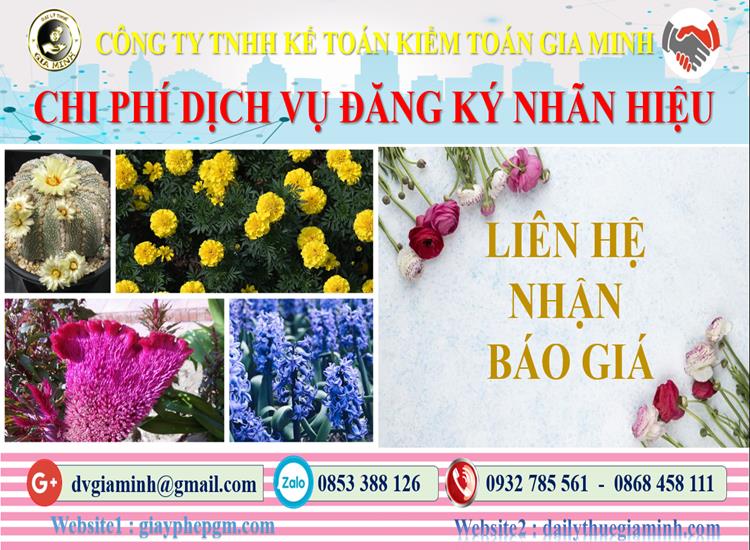 Chi phí đăng ký bảo hộ nhãn hiệu tại TP Hà Nội