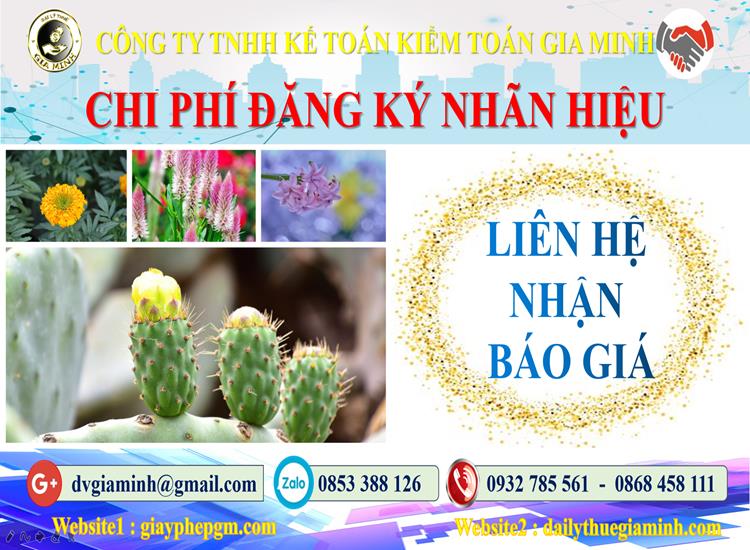 Chi phí đăng ký bảo hộ nhãn hiệu tại TPHCM
