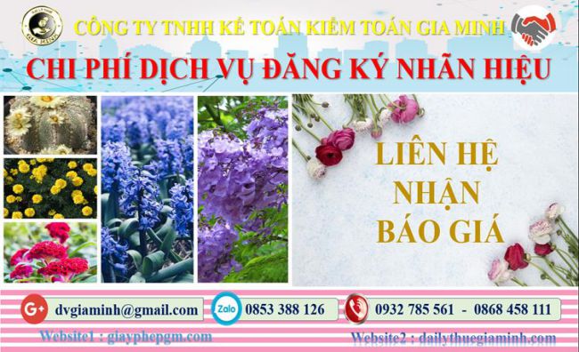 Chi phí đăng ký bảo hộ nhãn hiệu tại Vũng Tàu