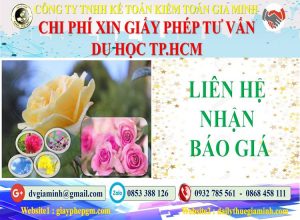 Xin giấy phép tư vấn du học Huyện Củ Chi 5 Bảng giá làm giấy phép tư vấn du học Huyện Củ Chi