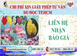 Xin giấy phép tư vấn du học Huyện Hóc Môn 5 Bảng giá làm giấy phép tư vấn du học Huyện Hóc Môn