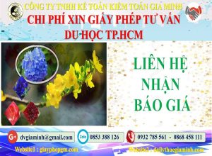 Xin giấy phép tư vấn du học Huyện Nhà Bè 5 Bảng giá làm giấy phép tư vấn du học Huyện Nhà Bè