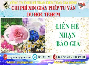 Xin giấy phép tư vấn du học Quận 2 5 Bảng giá làm giấy phép tư vấn du học Quận 2