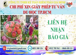 Xin giấy phép tư vấn du học Quận 4 5 Bảng giá làm giấy phép tư vấn du học Quận 4