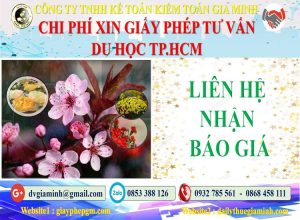 Xin giấy phép tư vấn du học Quận 5 5 Bảng giá làm giấy phép tư vấn du học Quận 5