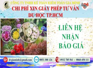 Xin giấy phép tư vấn du học Quận 8 5 Bảng giá làm giấy phép tư vấn du học Quận 8