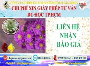 Xin giấy phép tư vấn du học Quận Bình Tân 5 Bảng giá làm giấy phép tư vấn du học Quận Bình Tân