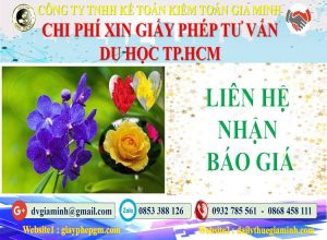 Xin giấy phép tư vấn du học Quận Bình Thạnh 5 Bảng giá làm giấy phép tư vấn du học Quận Bình Thạnh