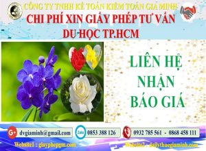 Xin giấy phép tư vấn du học Quận Gò Vấp 5 Bảng giá làm giấy phép tư vấn du học Quận Gò Vấp