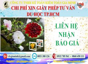 Xin giấy phép tư vấn du học Quận Phú Nhuận 5 Bảng giá làm giấy phép tư vấn du học Quận Phú Nhuận