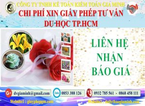 Xin giấy phép tư vấn du học Quận Tân Bình 5 Bảng giá làm giấy phép tư vấn du học Quận Tân Bình