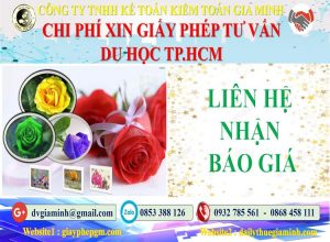 Xin giấy phép tư vấn du học Quận Tân Phú 5 Bảng giá làm giấy phép tư vấn du học Quận Tân Phú