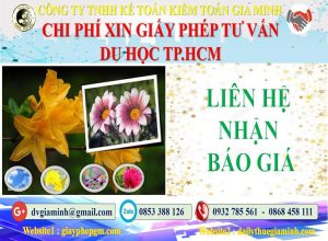 Xin giấy phép tư vấn du học Quận Thủ Đức 5 Bảng giá làm giấy phép tư vấn du học Quận Thủ Đức