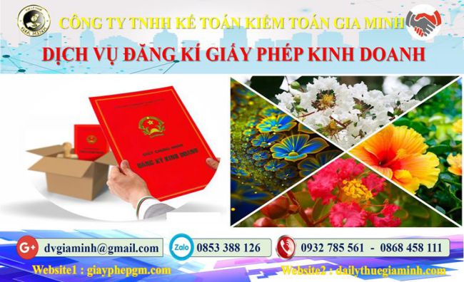 Trình tự đăng ký giấy phép kinh doanh tại Bà Rịa Vũng Tàu