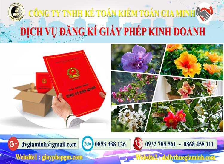 Trình tự đăng ký giấy phép kinh doanh tại Bến Tre