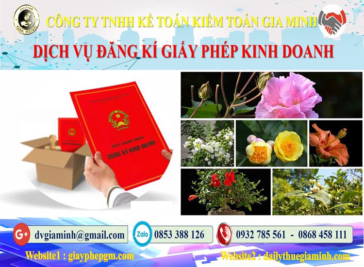 Trình tự đăng ký giấy phép kinh doanh tại Bình Định