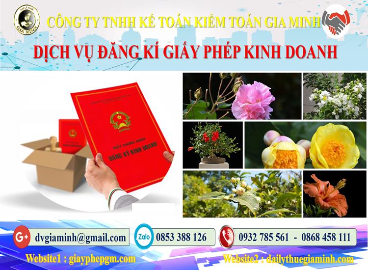 Trình tự đăng ký giấy phép kinh doanh tại Đắk Lắk