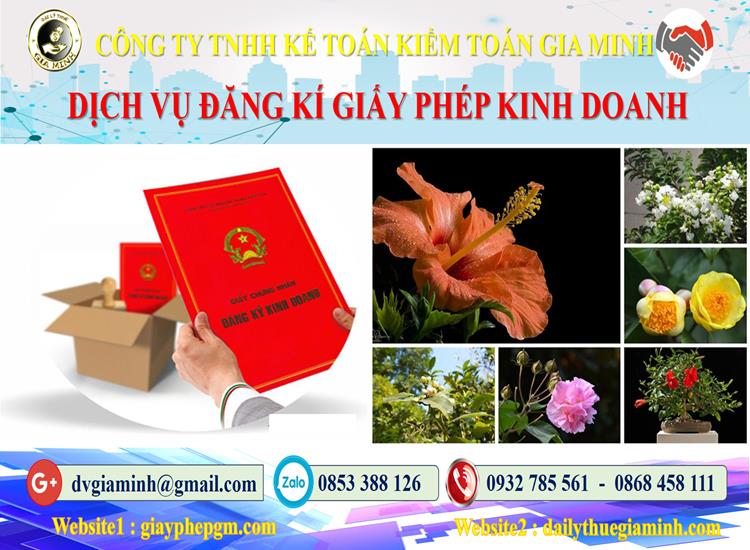 Trình tự đăng ký giấy phép kinh doanh tại Đắk Nông