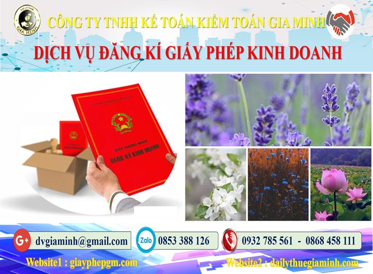 Thủ tục đăng ký giấy phép kinh doanh tại Đồng Tháp 4 Trình tự đăng ký giấy phép kinh doanh tại Đồng Tháp