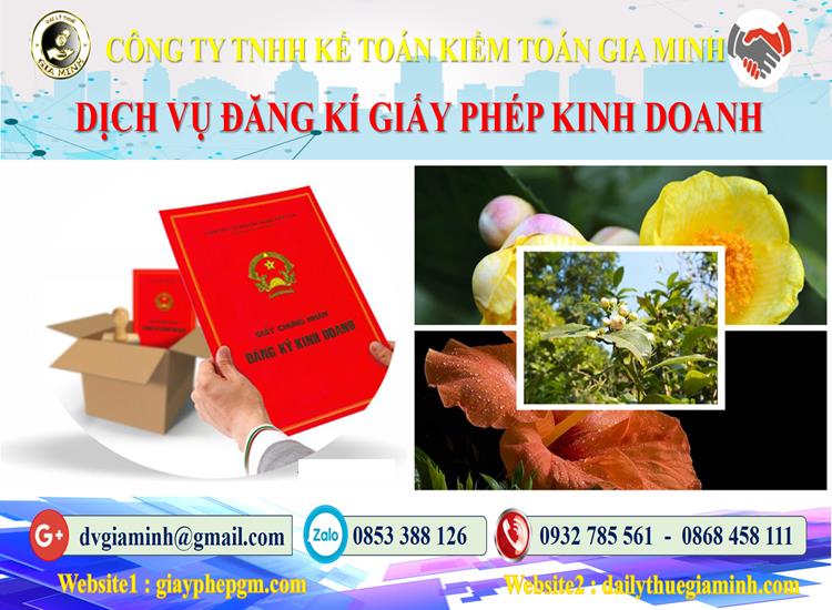 Trình tự đăng ký giấy phép kinh doanh tại Gia Lai