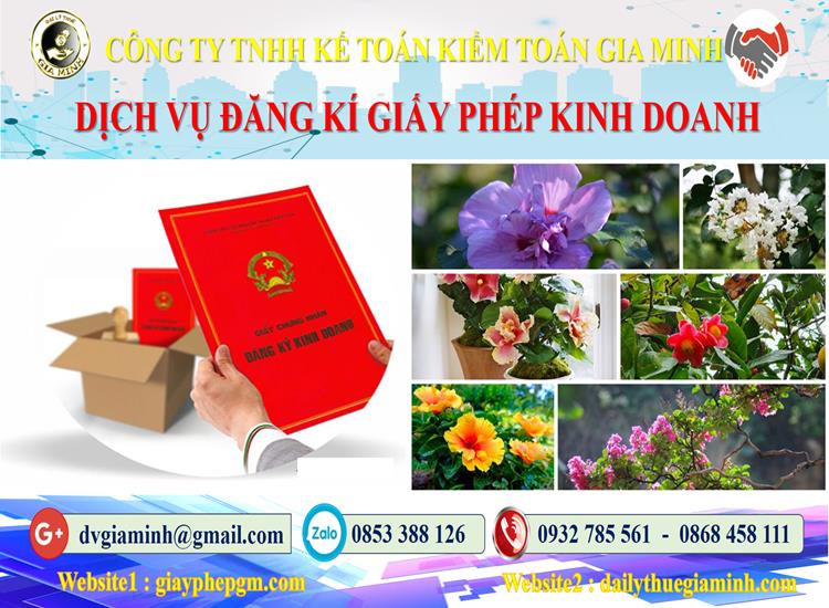 Trình tự đăng ký giấy phép kinh doanh tại Hà Giang
