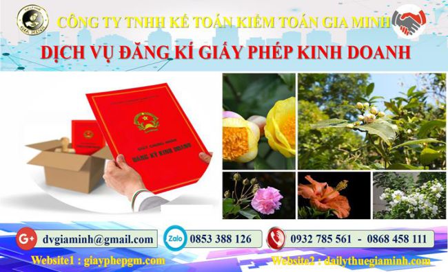 Trình tự đăng ký giấy phép kinh doanh tại Hải Dương