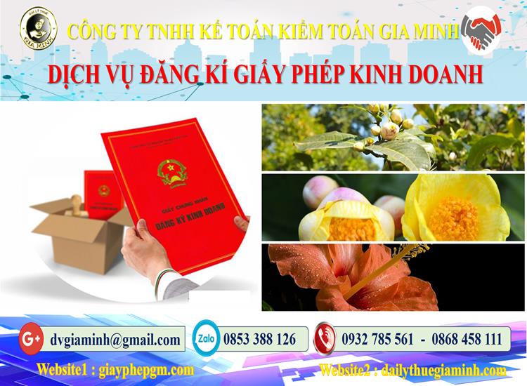 Trình tự đăng ký giấy phép kinh doanh tại Long An