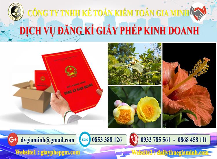 Thủ tục đăng ký giấy phép kinh doanh tại Quận Hải Châu 4 Trình tự đăng ký giấy phép kinh doanh tại Quận Hải Châu