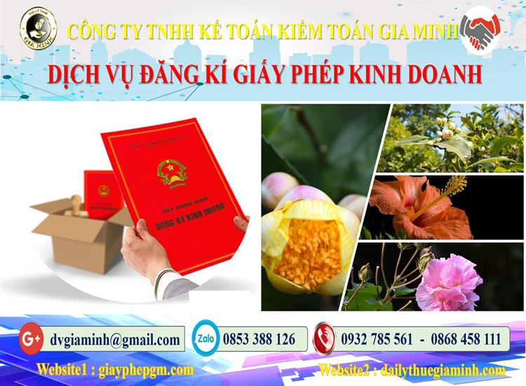 Trình tự đăng ký giấy phép kinh doanh tại Quảng Bình