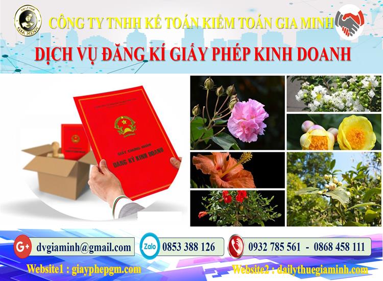 Trình tự đăng ký giấy phép kinh doanh tại Quảng Trị