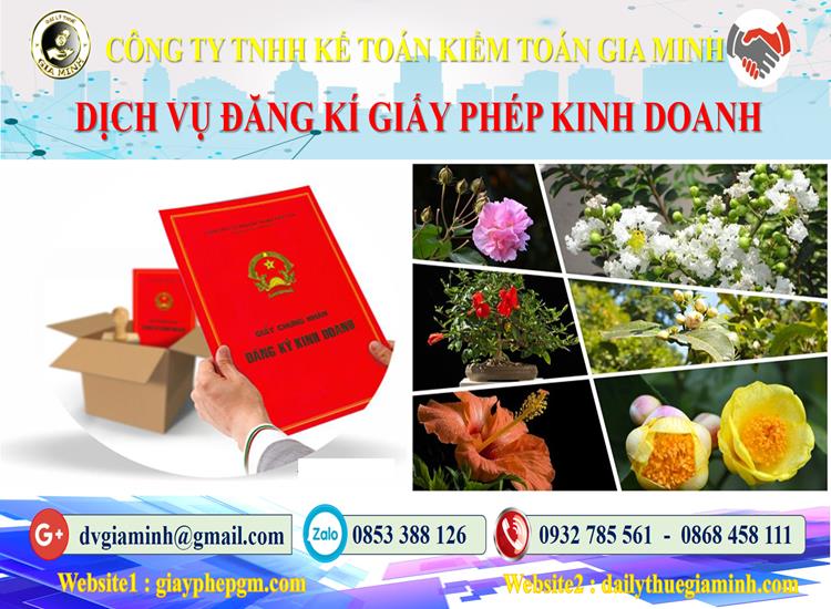 Trình tự đăng ký giấy phép kinh doanh tại Thái Bình