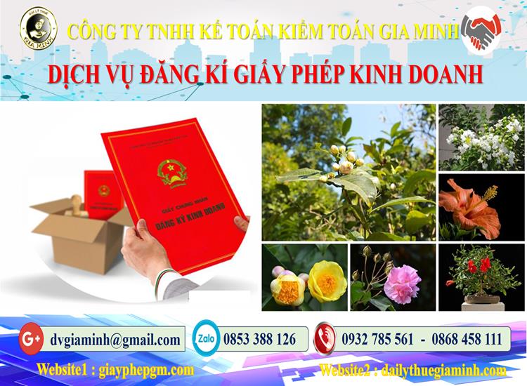 Trình tự đăng ký giấy phép kinh doanh tại Thái Nguyên