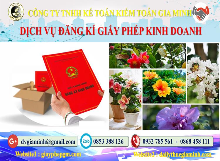 Thủ tục đăng ký giấy phép kinh doanh tại Thừa Thiên Huế