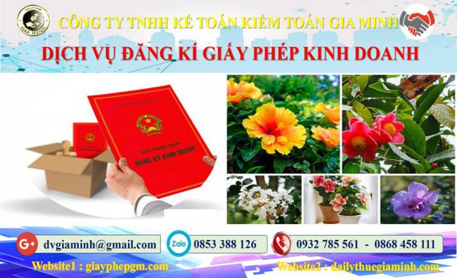Trình tự đăng ký giấy phép kinh doanh tại TT Huế