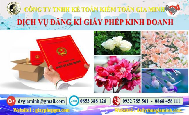 Trình tự đăng ký giấy phép kinh doanh tại Tuyên Quang