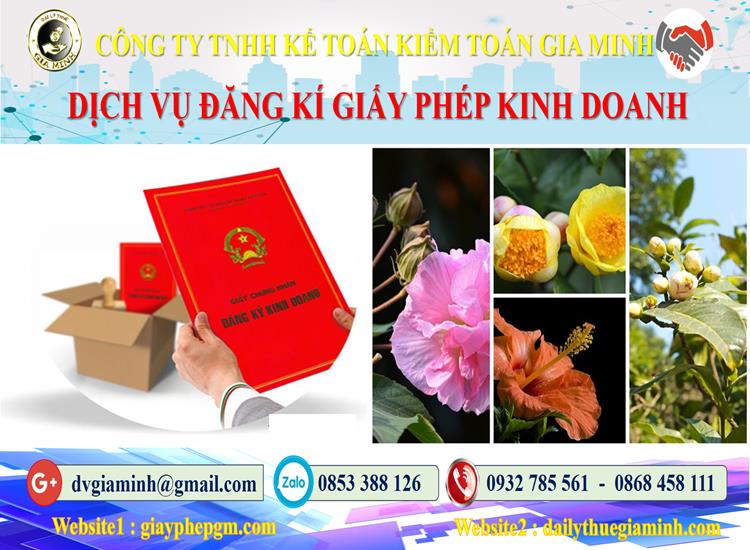 Trình tự đăng ký giấy phép kinh doanh tại Vũng Tàu