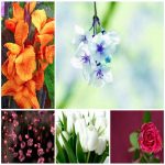 Đăng ký bảo hộ nhãn hiệu tại Lào Cai 6 Cần đăng ký bảo hộ nhãn hiệu Lào Cai
