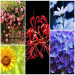 Đăng ký bảo hộ nhãn hiệu tại Quận 1 6 Cần đăng ký bảo hộ nhãn hiệu Quận 1