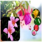 Dịch vụ cấp chứng chỉ năng lực thi công cơ điện công trình 14 Dịch vụ cấp chứng chỉ năng lực thi công cơ điện công trình