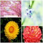 Dịch vụ đăng ký bảo hộ nhãn hiệu tại Bình Định 6 Cần đăng ký bảo hộ nhãn hiệu tại Bình Định